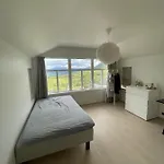 Modern